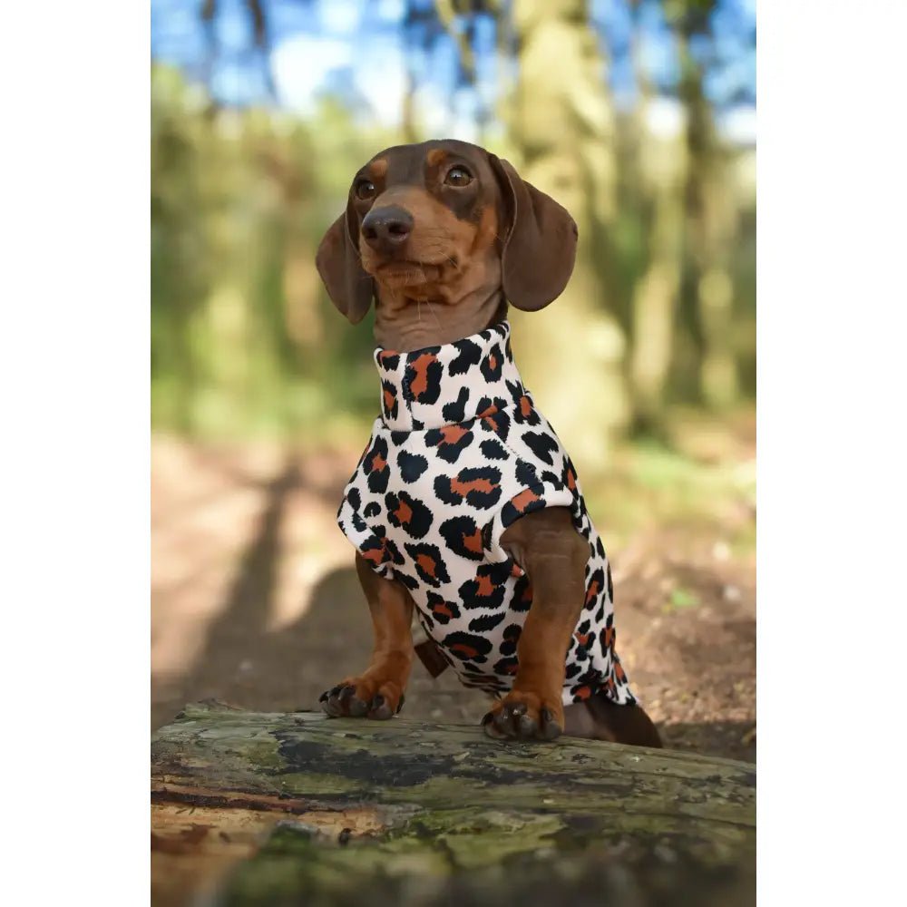 Lenny Leopard Print Rainfleece Dog Coat - Made to Measure - Hugo and Ted