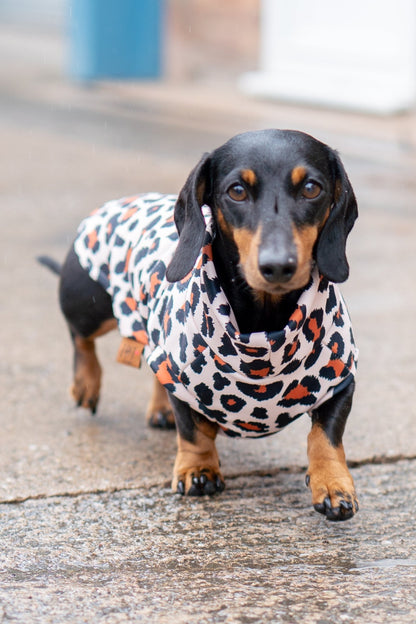 Lenny Leopard Print Rainfleece Dog Coat - Made to Measure - Hugo and Ted