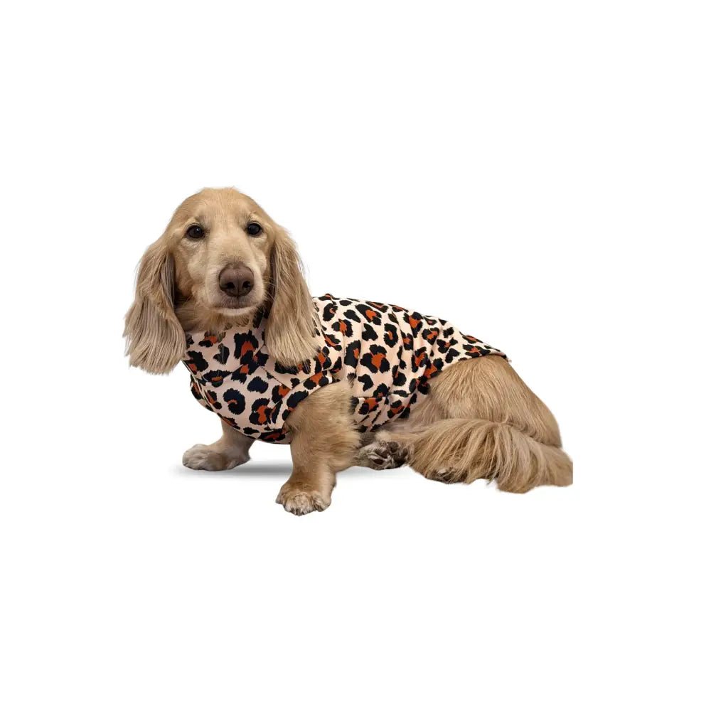 Lenny Leopard Print Rainfleece Dog Coat - Made to Measure - Hugo and Ted