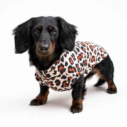 Lenny Leopard Print Rainfleece Dog Coat - Made to Measure