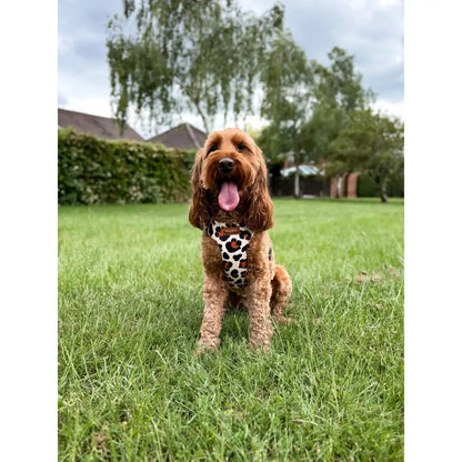Lenny Leopard Print Waterproof Step-In Dog Harness - Made to Measure All Breeds | Hugo and Ted