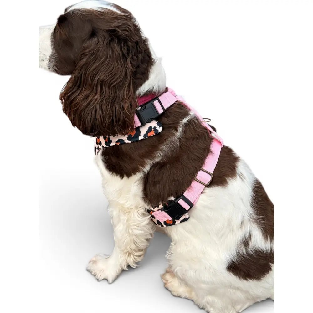 Lenny Leopard Print Waterproof Step-In Dog Harness - Made to Measure, All Breeds - Hugo and Ted