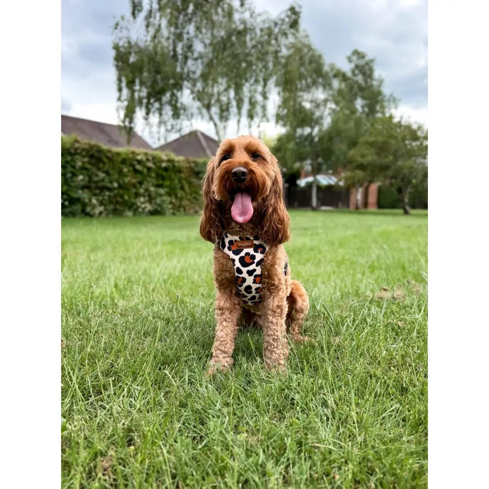 Lenny Leopard Print Waterproof Step-In Dog Harness - Made to Measure, All Breeds - Hugo and Ted