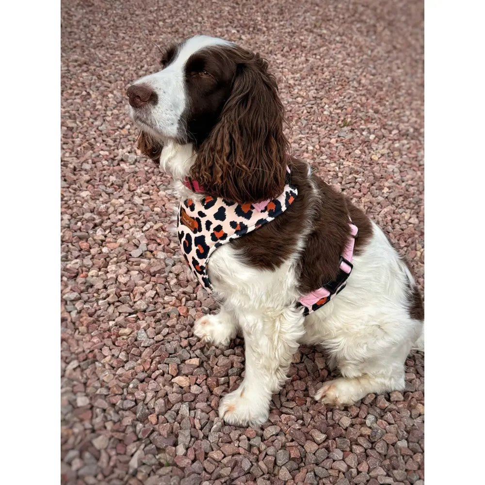 Lenny Leopard Print Waterproof Step-In Dog Harness - Made to Measure, All Breeds - Hugo and Ted