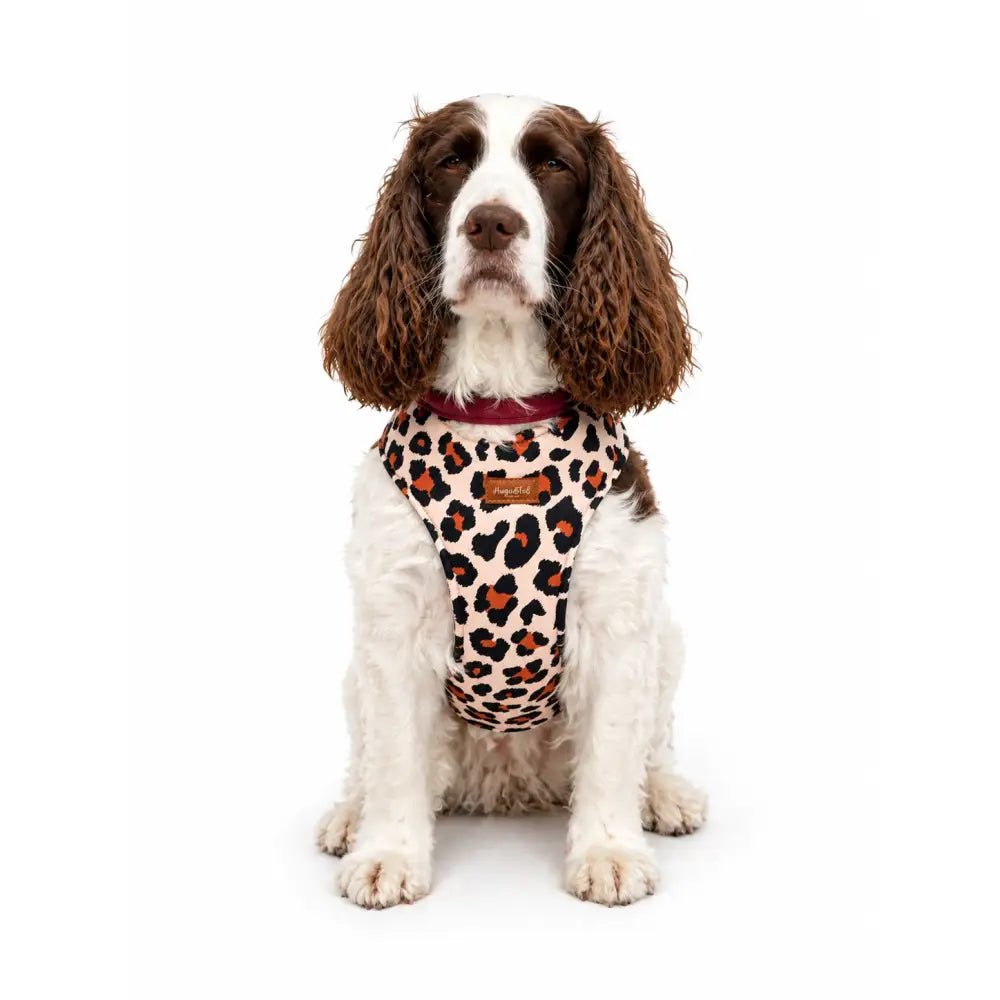 Lenny Leopard Print Waterproof Step-In Dog Harness - Made to Measure, All Breeds - Hugo and Ted