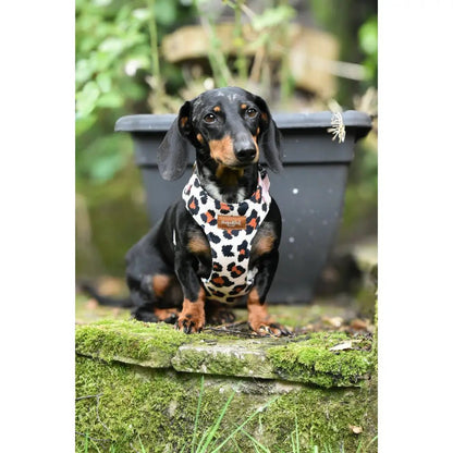 Lenny Leopard Print Waterproof Step-In Dog Harness - Made to Measure, All Breeds - Hugo and Ted