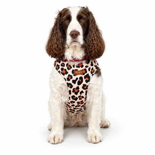 Lenny Leopard Print Waterproof Step-In Dog Harness - Made to Measure, All Breeds - Hugo and Ted
