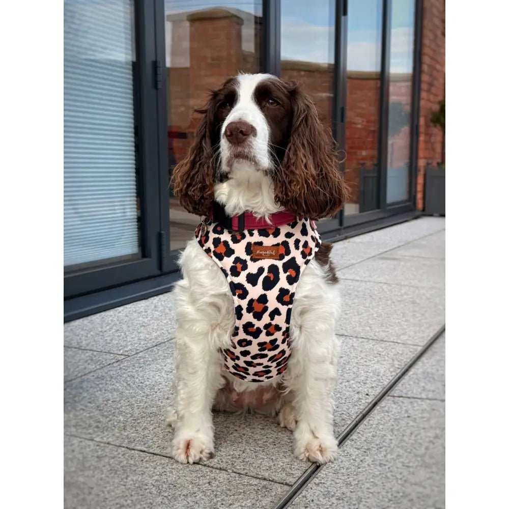 Lenny Leopard Print Waterproof Step-In Dog Harness - Made to Measure, All Breeds - Hugo and Ted