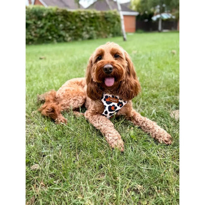 Lenny Leopard Print Waterproof Step-In Dog Harness - Made to Measure, All Breeds - Hugo and Ted