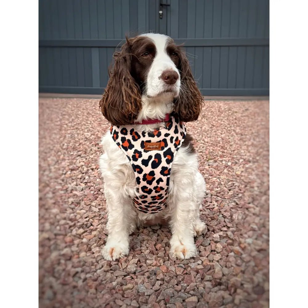 Lenny Leopard Print Waterproof Step-In Dog Harness - Made to Measure, All Breeds - Hugo and Ted