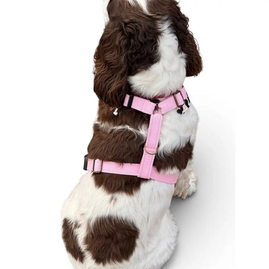 Lenny Leopard Print Waterproof Step-In Dog Harness - Made to Measure, All Breeds - Hugo and Ted