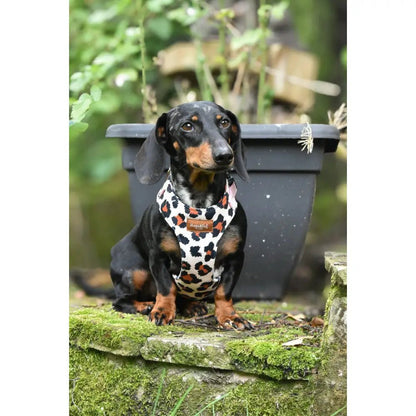 Lenny Leopard Print Waterproof Step-In Dog Harness - Made to Measure, All Breeds - Hugo and Ted