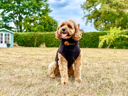 Limited Edition BOO! Halloween Jumpers - Hugo and Ted