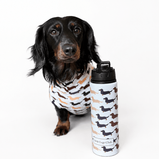 Little Legs Club Fleece Dog Jumper - Made to Measure - Hugo and Ted