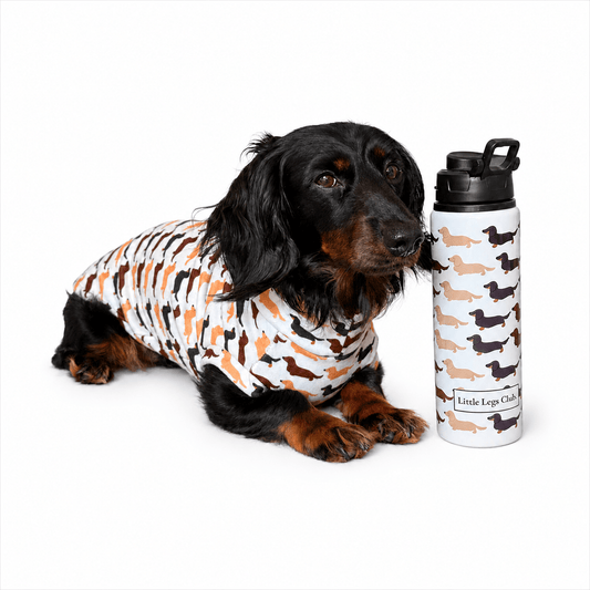 Little Legs Club Fleece Dog Jumper - Made to Measure - Hugo and Ted