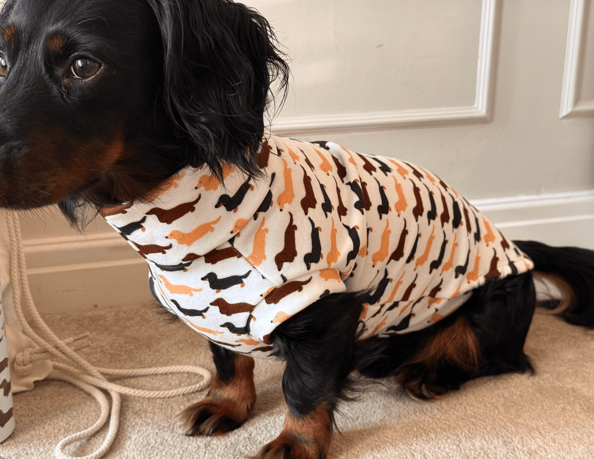 Little Legs Club Fleece Dog Jumper - Made to Measure - Hugo and Ted