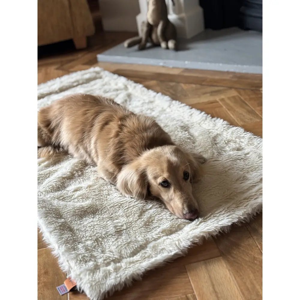 Luxe Bed Topper Blanket - One Size - Hugo and Ted
