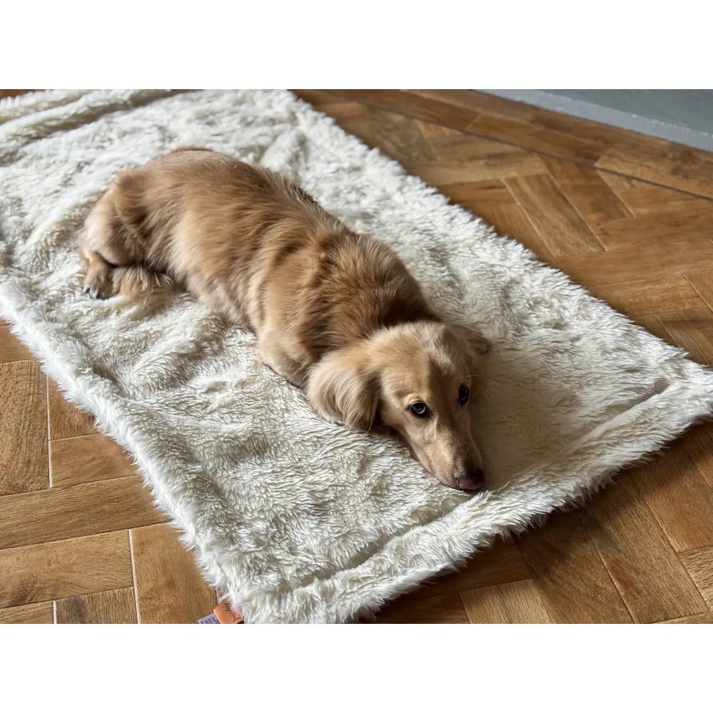 Luxe Bed Topper Blanket - One Size - Hugo and Ted