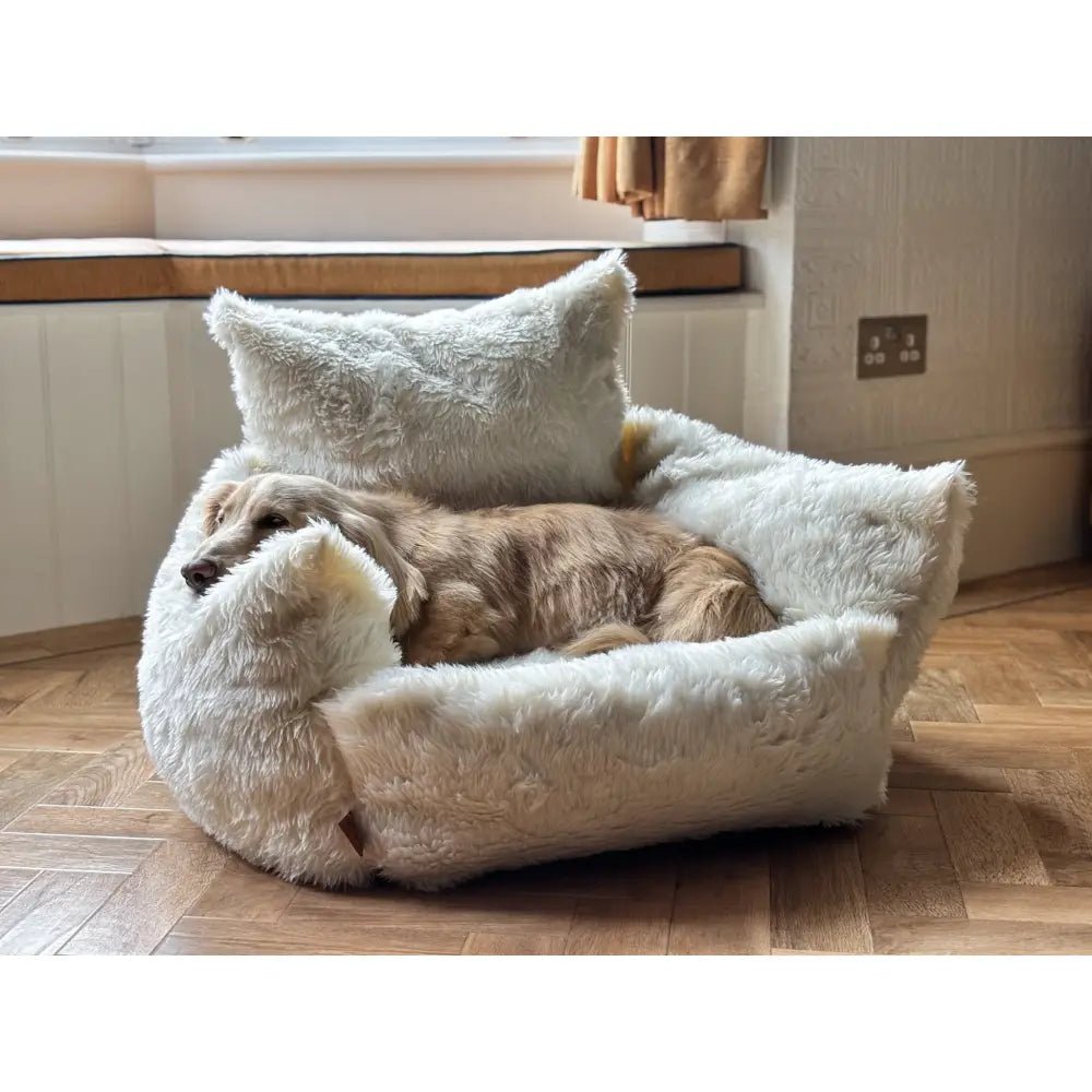 Luxe Lounger Deluxe Dog Sofa Bed - Hugo and Ted