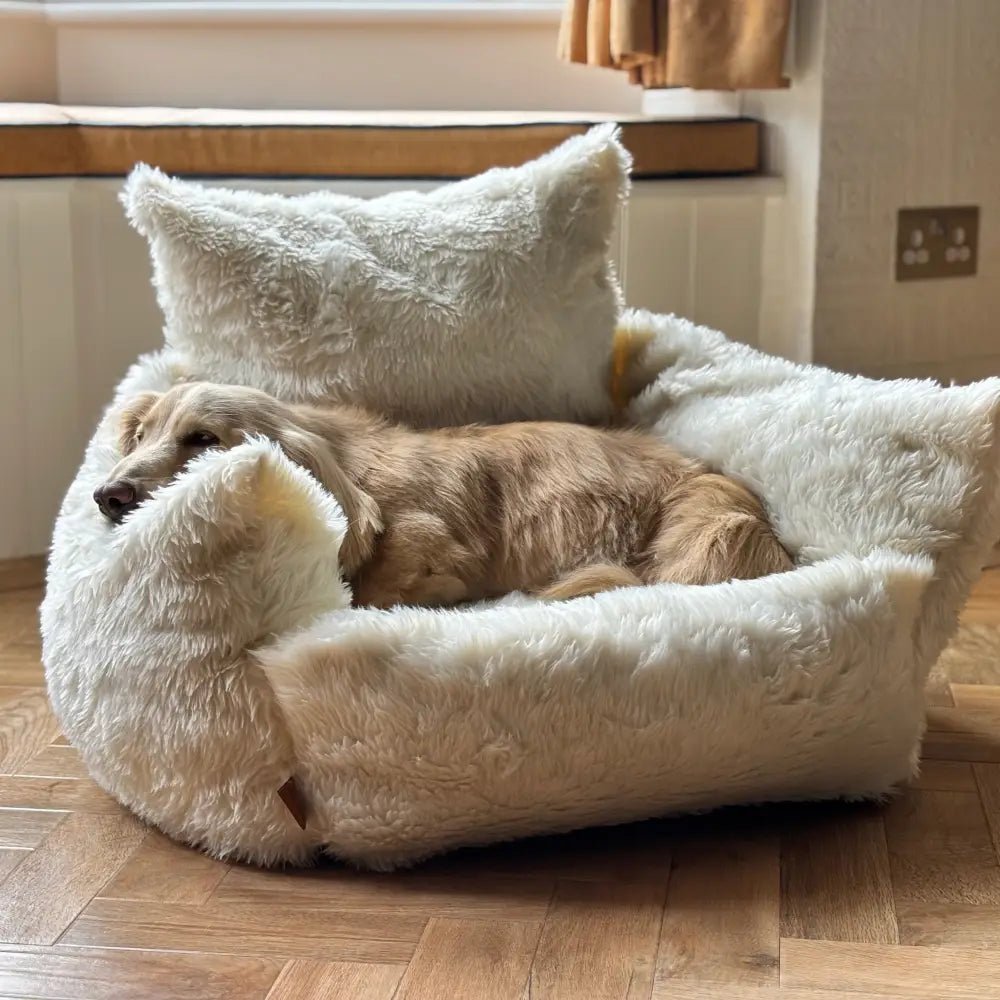 Luxe Lounger Deluxe Dog Sofa Bed - Hugo and Ted