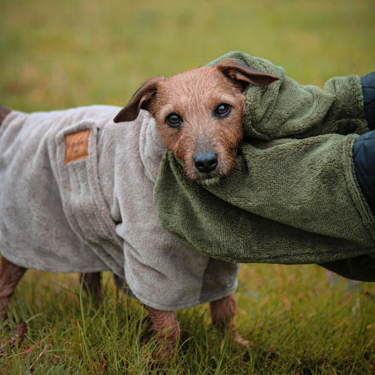 Luxury Bamboo Dog Drying Mittens - Hugo and Ted