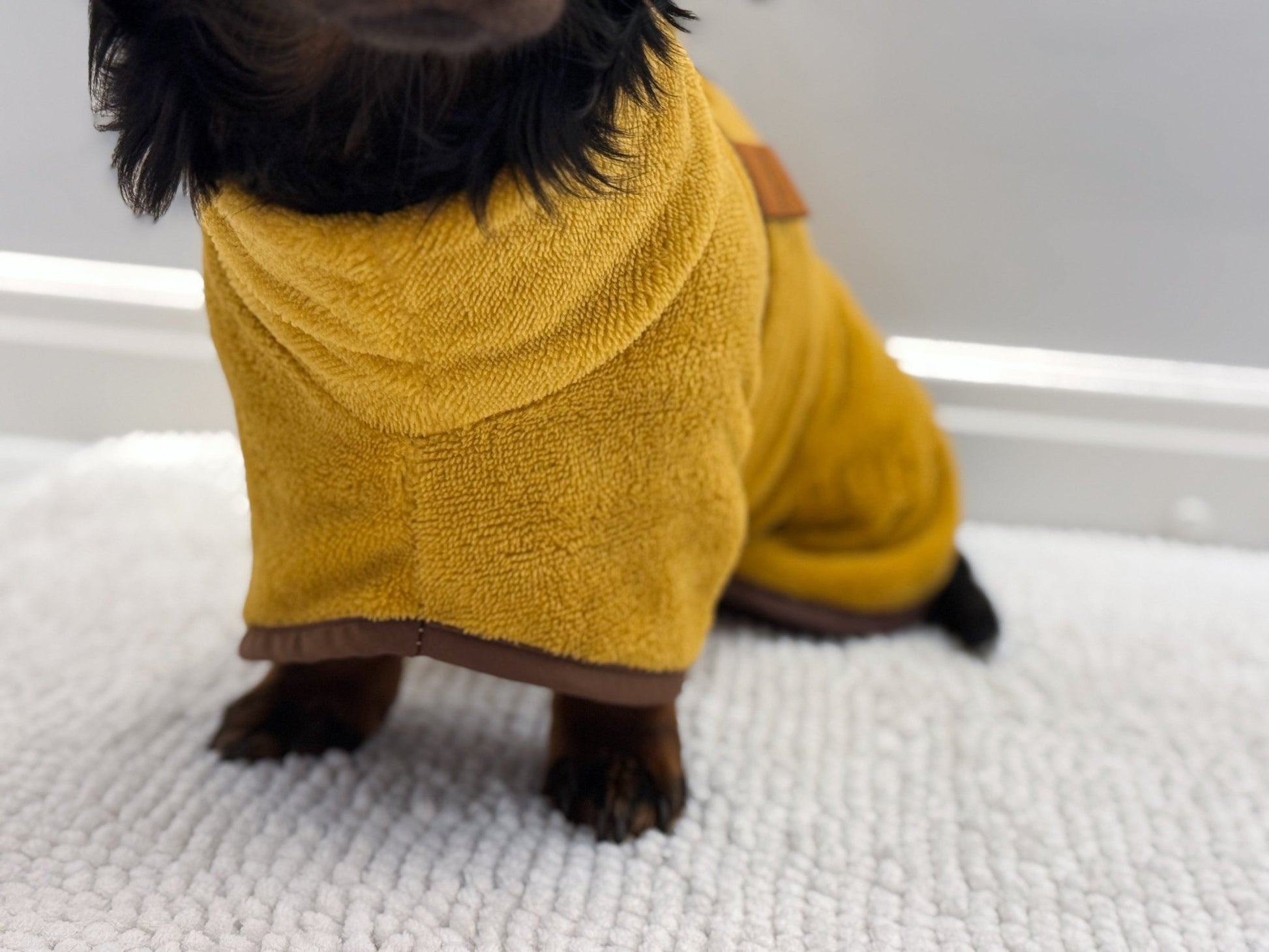 Luxury Bamboo Dog Drying Robe - Hugo and Ted