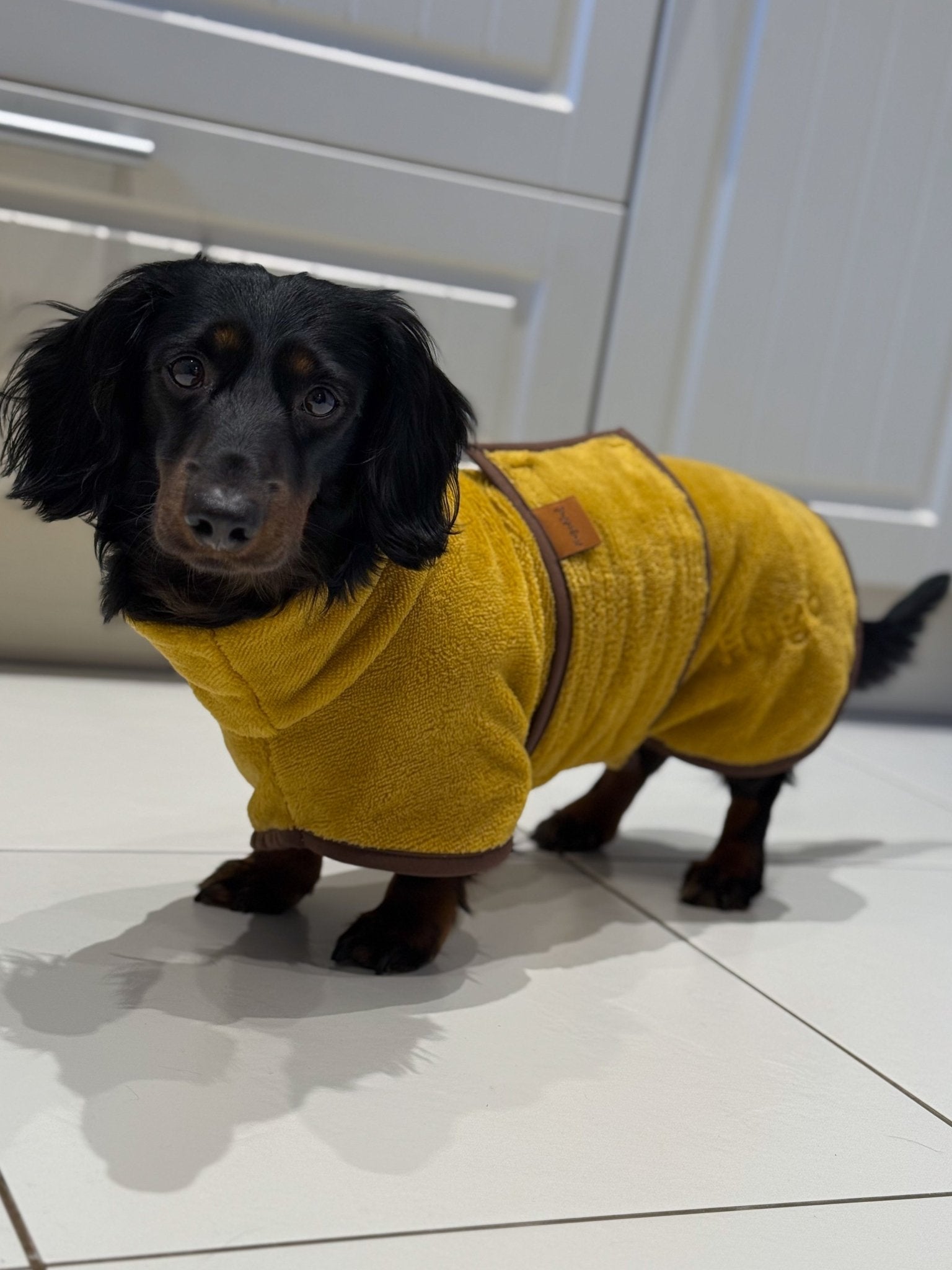 Luxury Bamboo Dog Drying Robe - Hugo and Ted