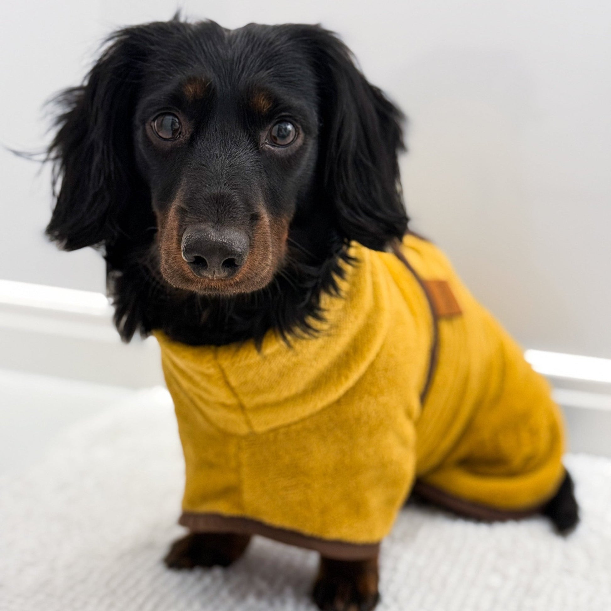 Luxury Bamboo Dog Drying Robe - Hugo and Ted