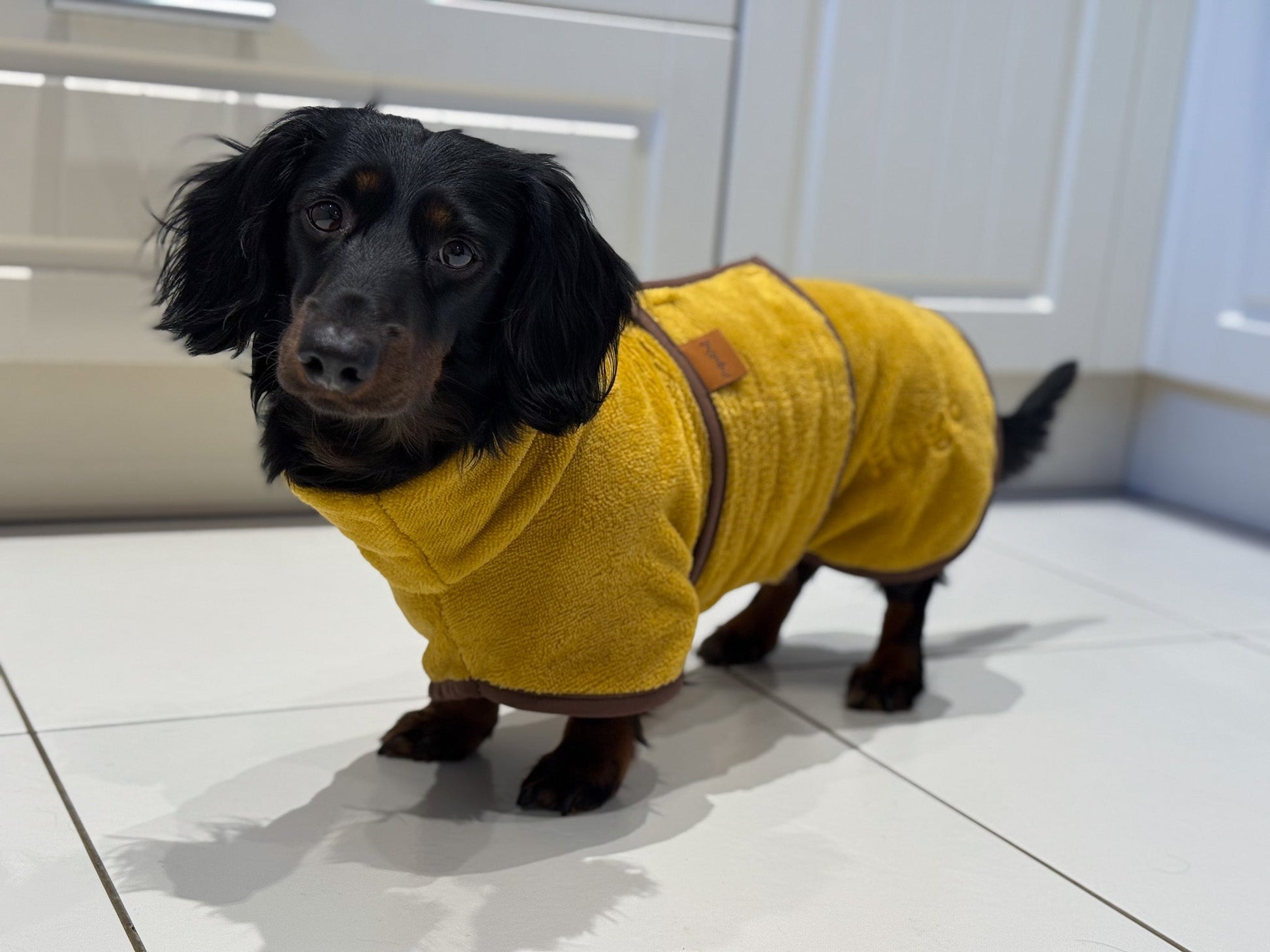 Luxury Bamboo Dog Drying Robe - Hugo and Ted