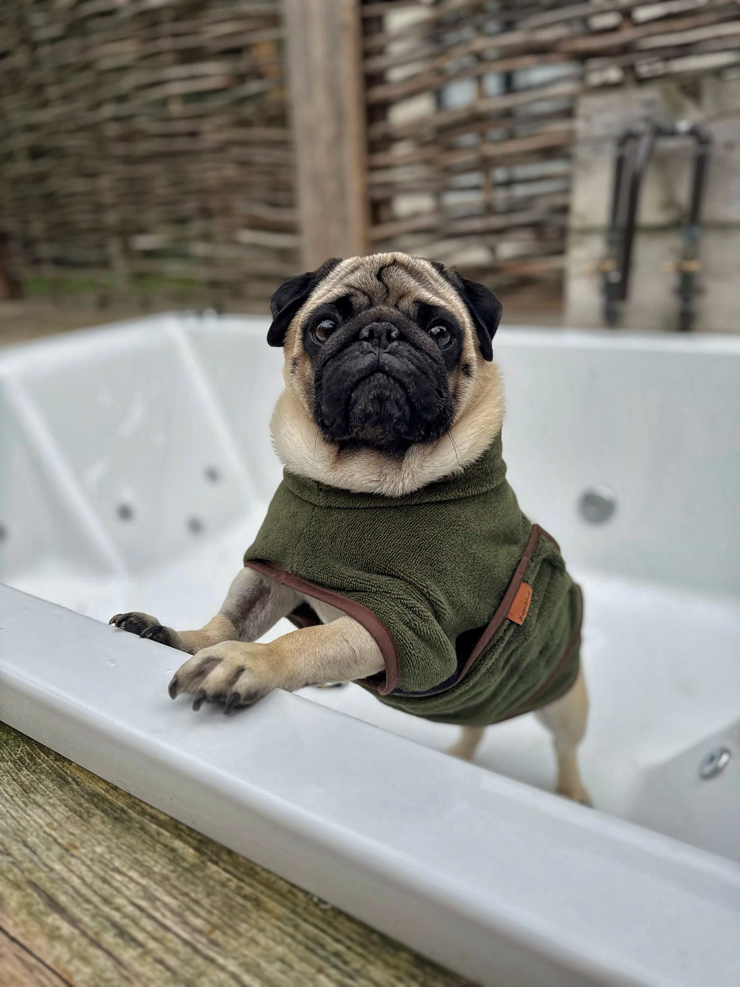 Luxury Dog Drying Robe – Made to Measure Bamboo Towelling Robe with Personalisation - Hugo and Ted