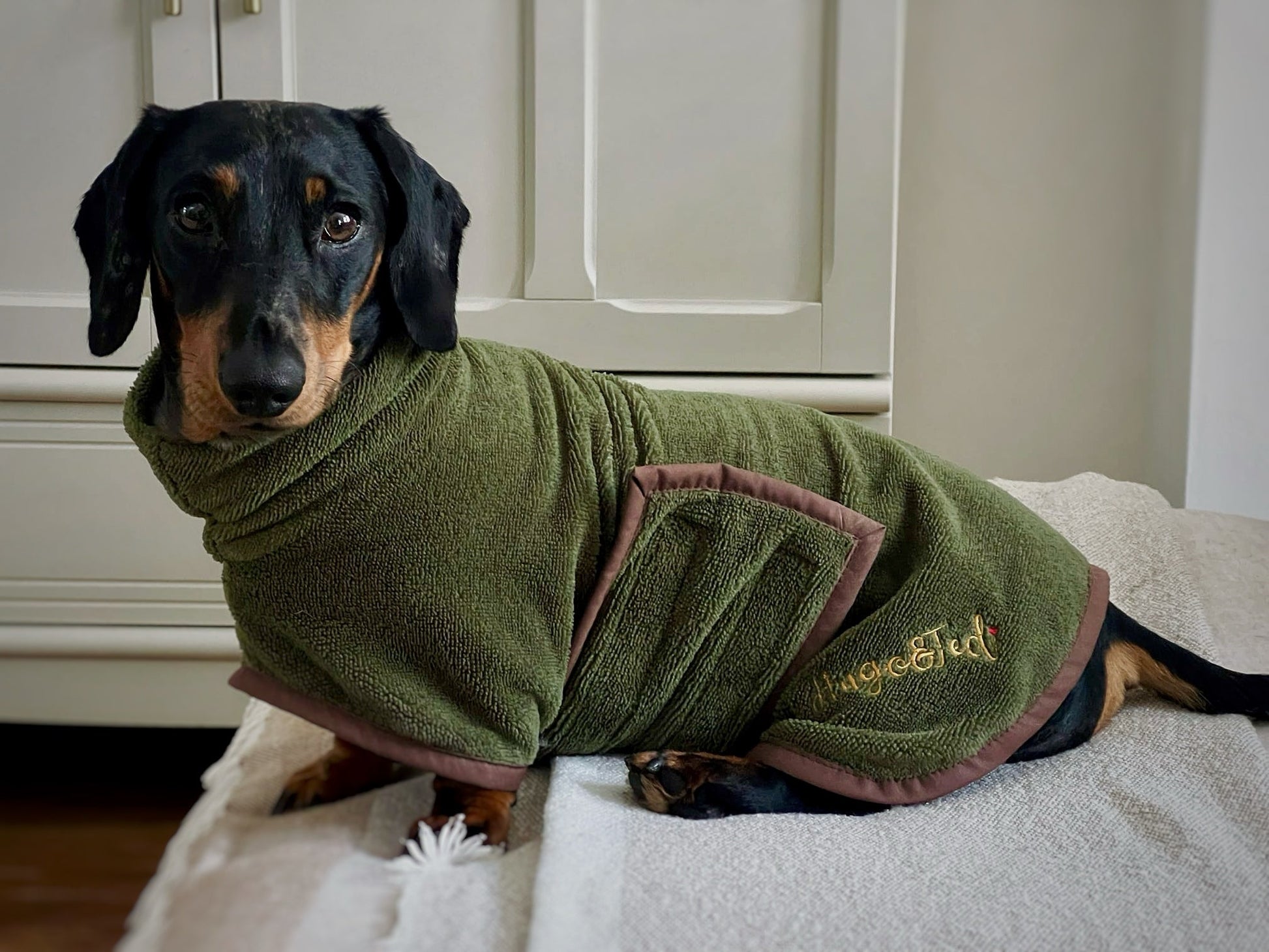 Luxury Dog Drying Robe – Made to Measure Bamboo Towelling Robe with Personalisation - Hugo and Ted
