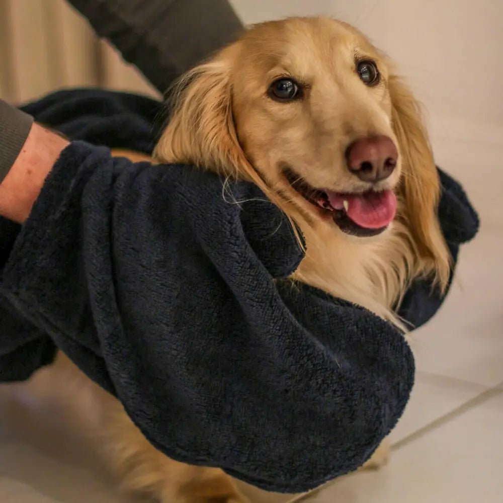 Luxury Personalised Bamboo Dog Drying Mittens - One Size - Hugo and Ted