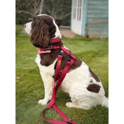 Multi-Way Waterproof Dog Lead - Cross-Body, Hands Free, Made to Order - Hugo and Ted