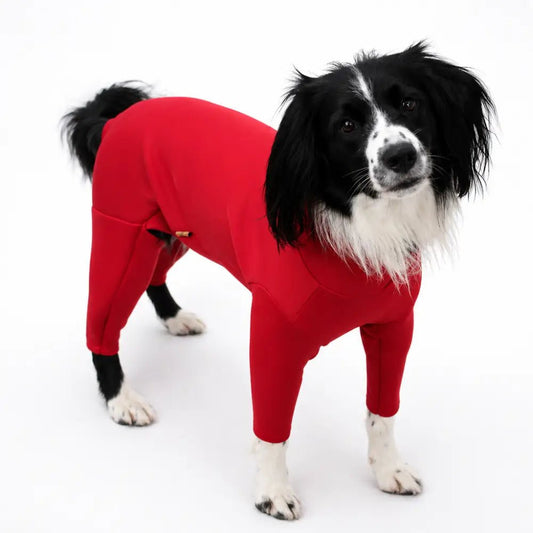 Neoprene Custom Dog Jumpsuit - Made to Measure | Hugo and Ted - Hugo and Ted