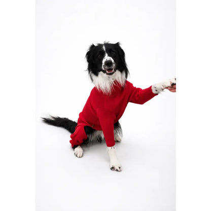 Neoprene Custom Dog Jumpsuit - Made to Measure | Hugo and Ted - Hugo and Ted