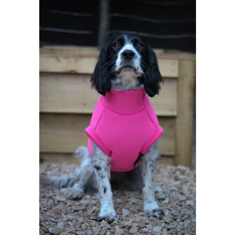 Neoprene Dog Coat - Made to Measure - Hugo and Ted