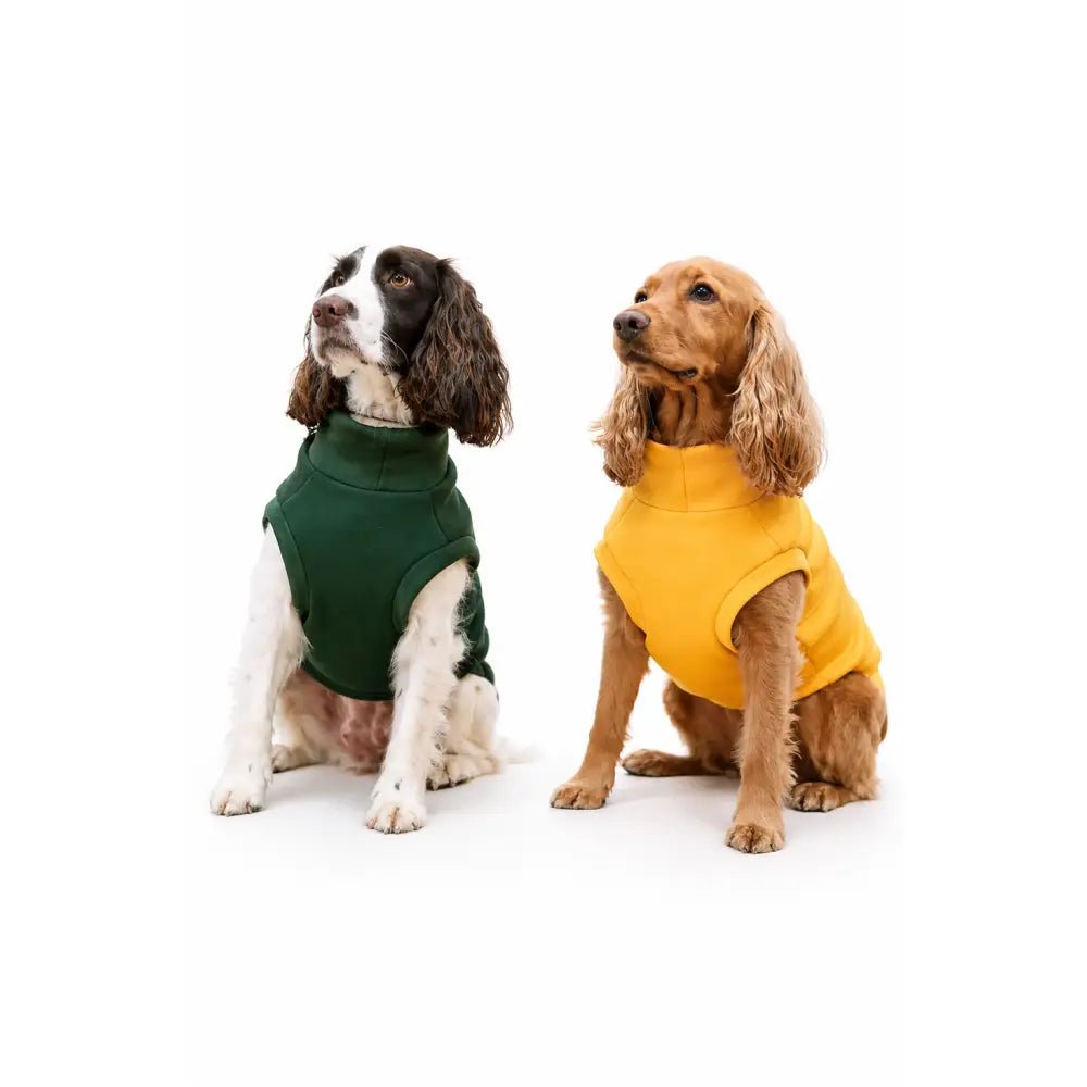 Neoprene Dog Coat - Made to Measure - Hugo and Ted