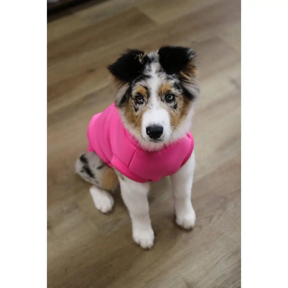Neoprene Dog Coat - Made to Measure - Hugo and Ted