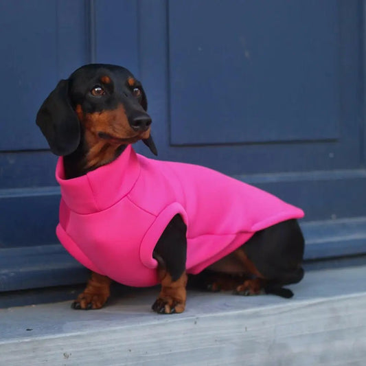 Neoprene Dog Coat - Made to Measure - Hugo and Ted