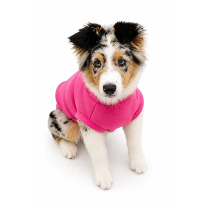 Neoprene Dog Coat - Made to Measure - Hugo and Ted