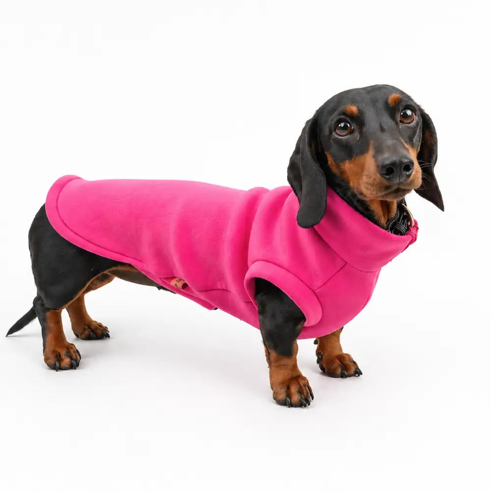 Neoprene Dog Coat - Made to Measure