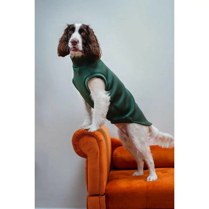 Neoprene Dog Coat - Made to Measure - Hugo and Ted
