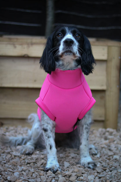 Neoprene Dog Coats: The Perfect Coat For Active Dogs – Hugo and Ted