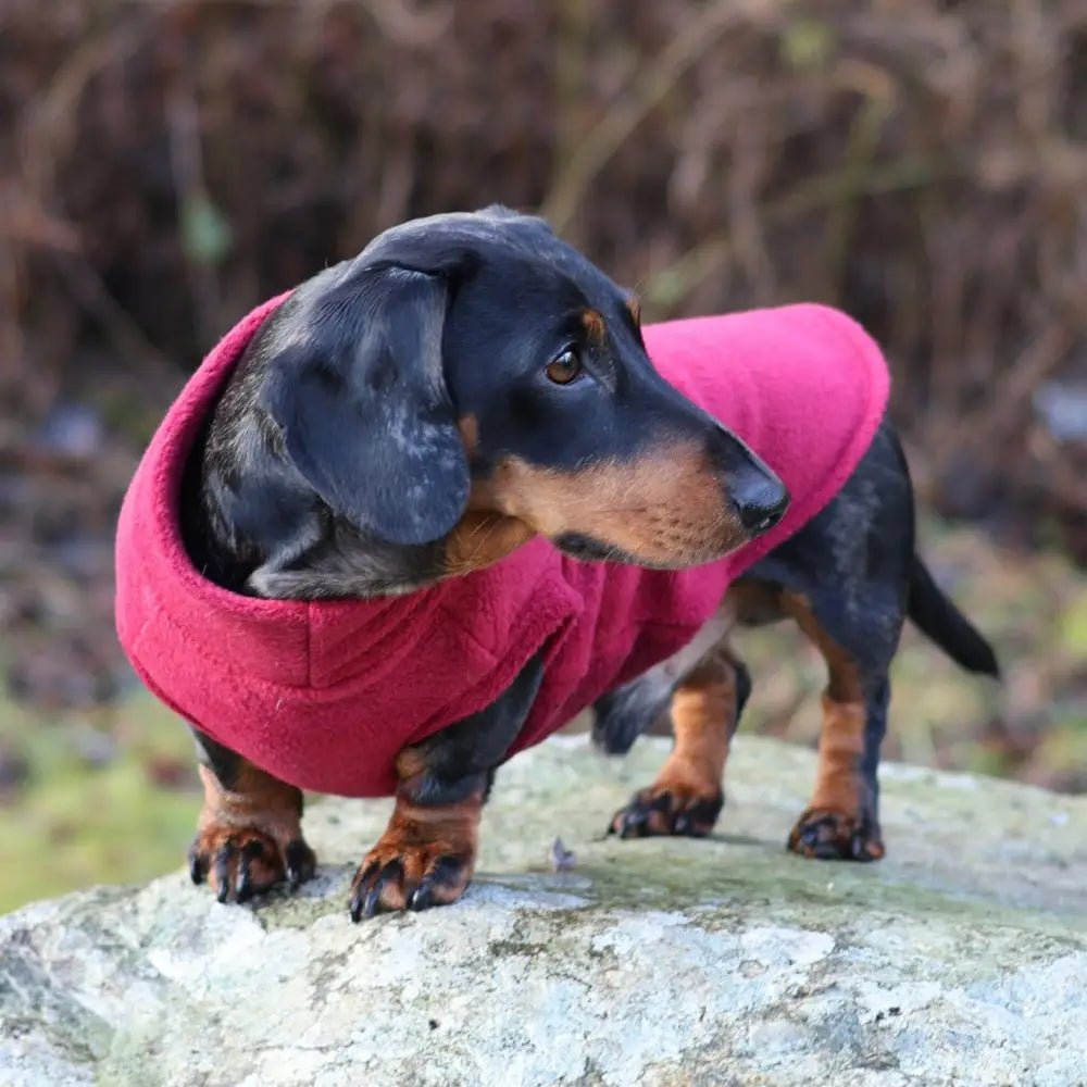OUTLET Standard Sized Fleece Snuggle Jumper - Ready to Ship - Hugo and Ted
