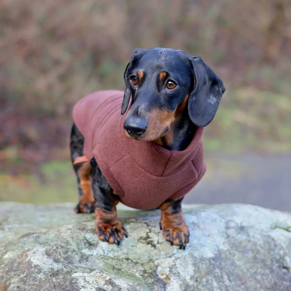 OUTLET Standard Sized Fleece Snuggle Jumper - Ready to Ship - Hugo and Ted