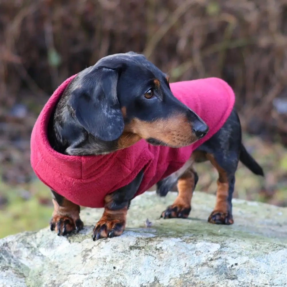 OUTLET Standard Sized Fleece Snuggle Jumper - Ready to Ship - Hugo and Ted