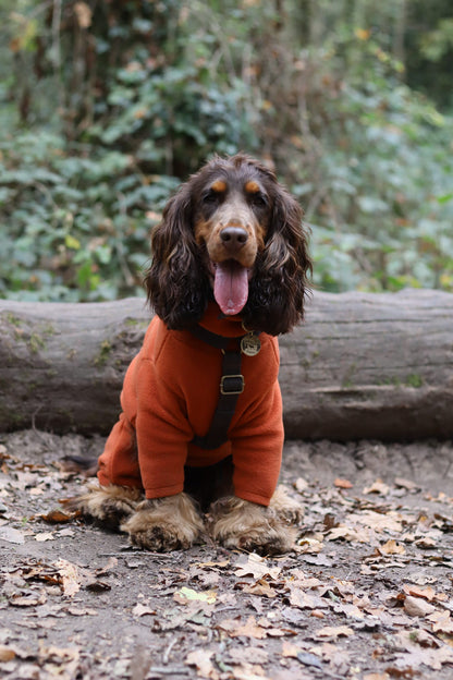 Padded Strap Harness – Lightweight, Wipe - Clean Step - In Harness - Hugo and Ted