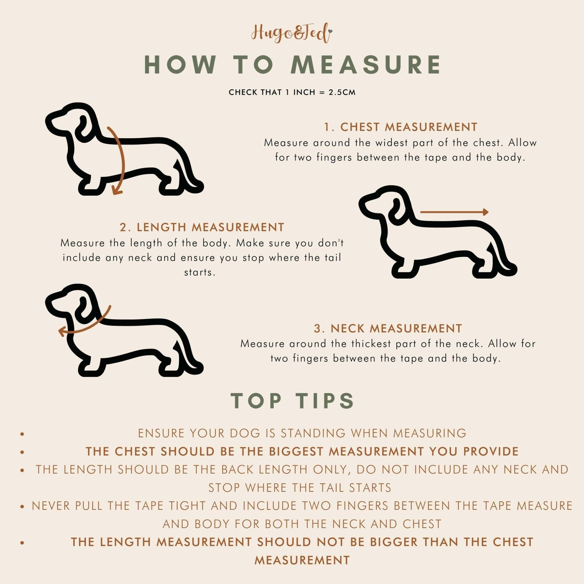 Padded, Strap Harnesses - Hugo and Ted