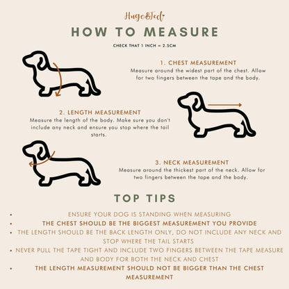 Padded, Strap Harnesses - Hugo and Ted
