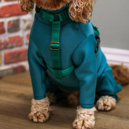 Padded, Strap Harnesses - Hugo and Ted